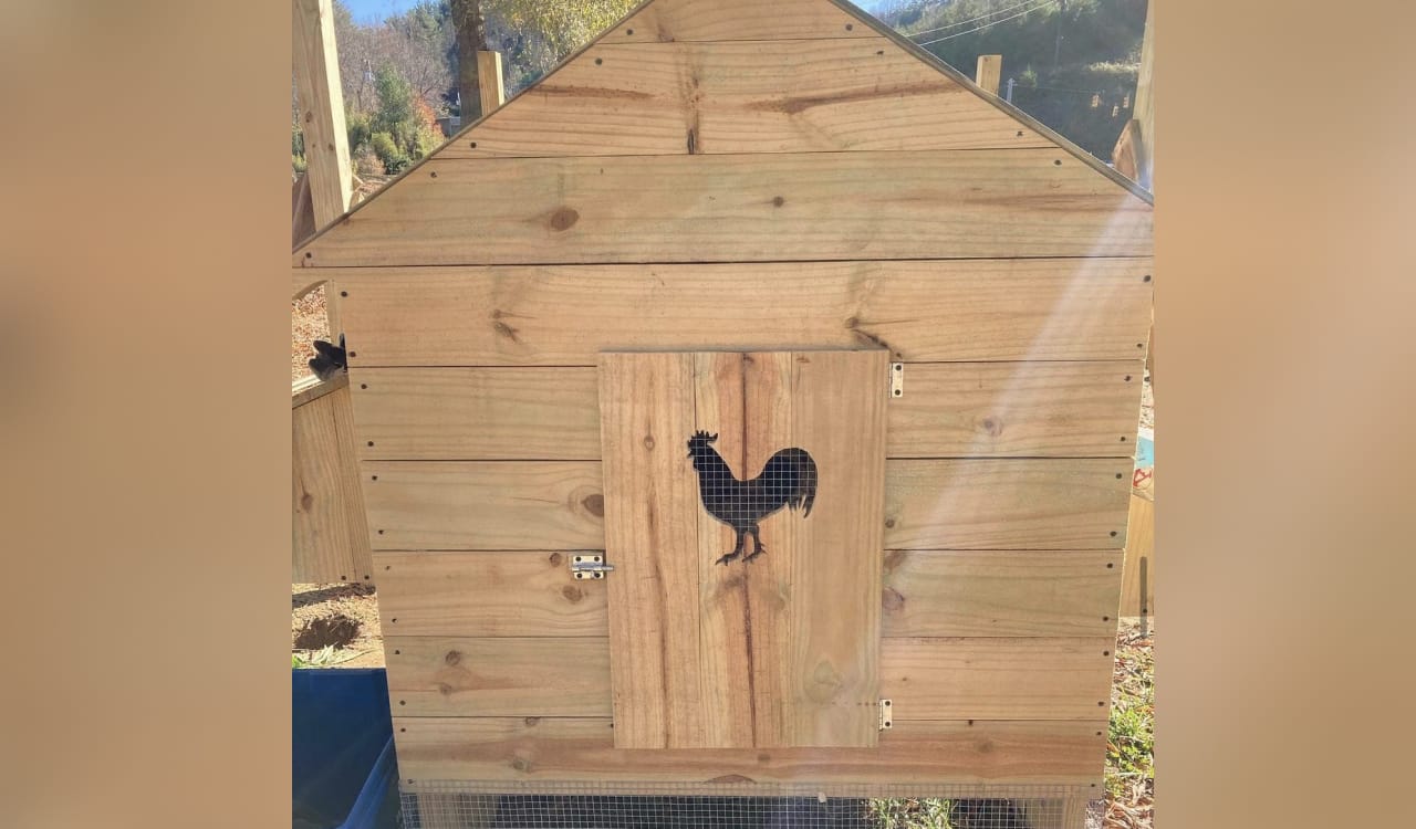 Chicken Coop door