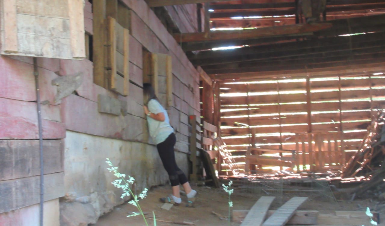A young girl exploring an old barn