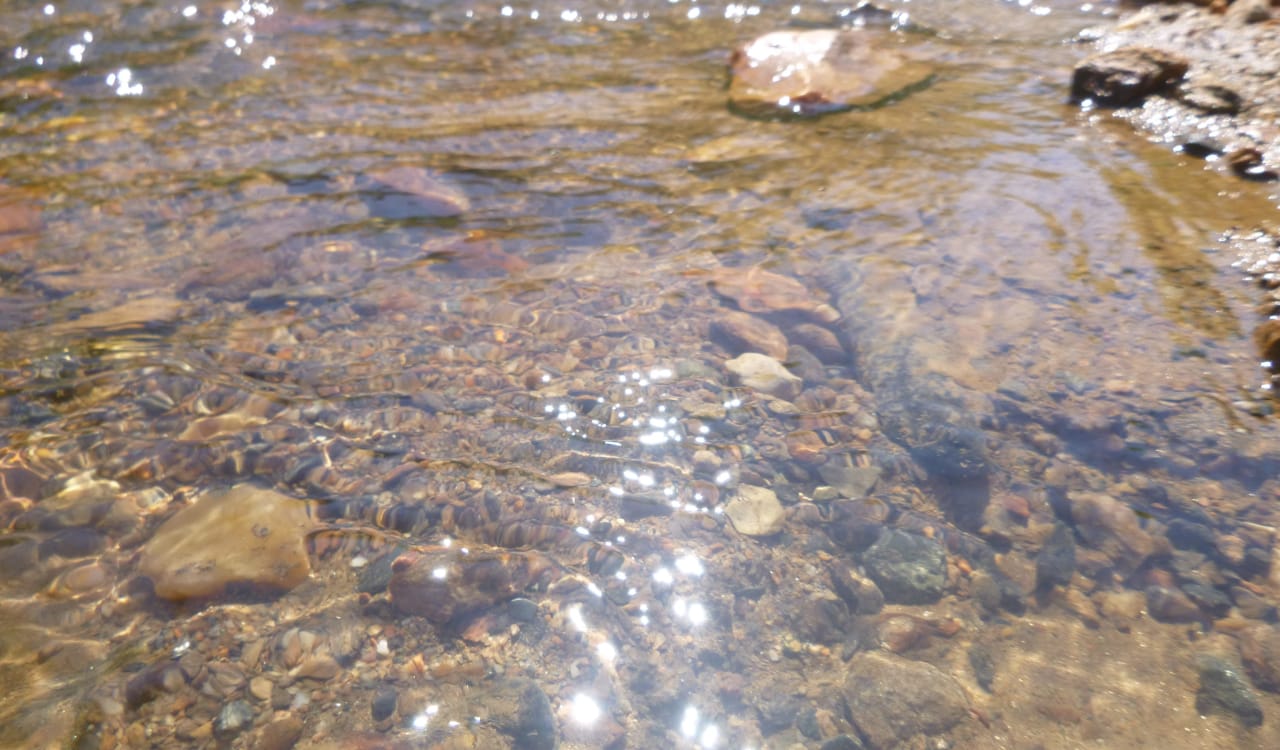 Creek water and stones