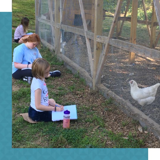 Three page girls writing in their notebooks while observing hens in a pen.